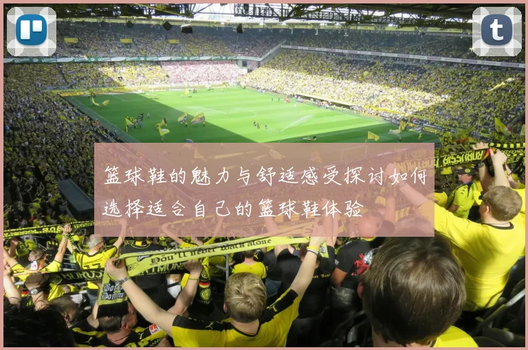 篮球鞋的魅力与舒适感受探讨如何选择适合自己的篮球鞋体验