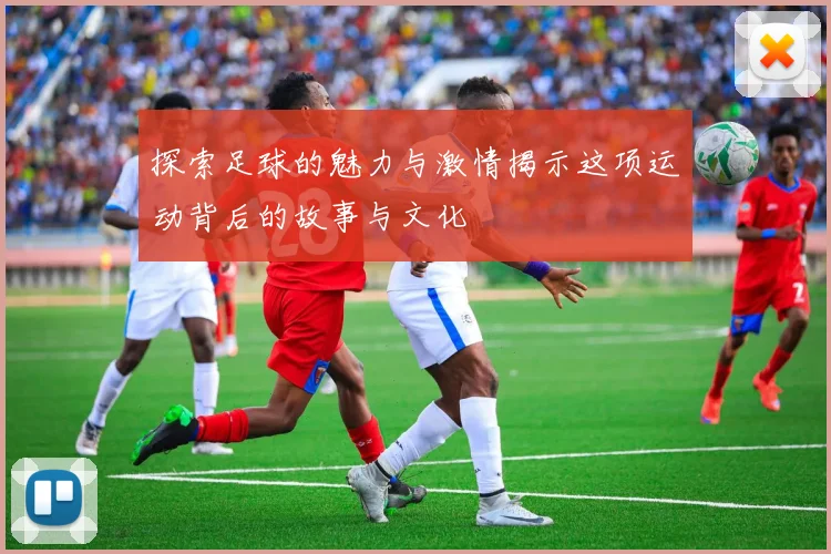 探索足球的魅力与激情揭示这项运动背后的故事与文化