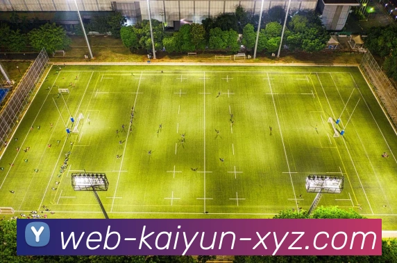 kaiyun中国官方网站平台生态图